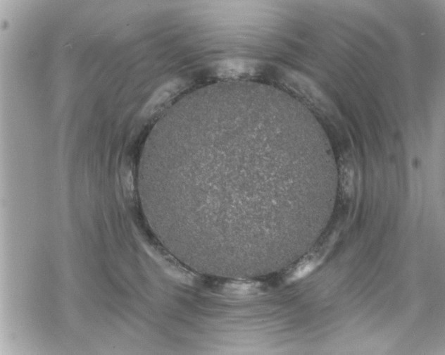 X0000070400375200606161351