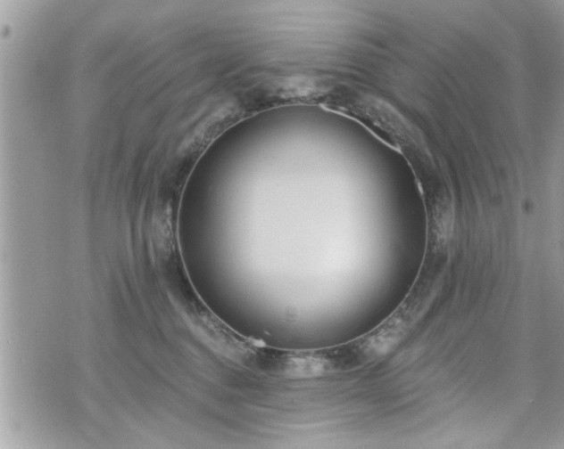 X0000070400376200606161351