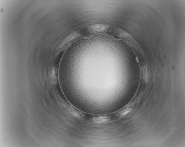 X0000070400378200606161352