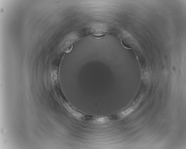 X0000070400382200606161352