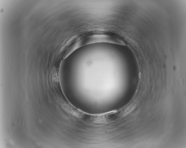 X0000070400384200606161352