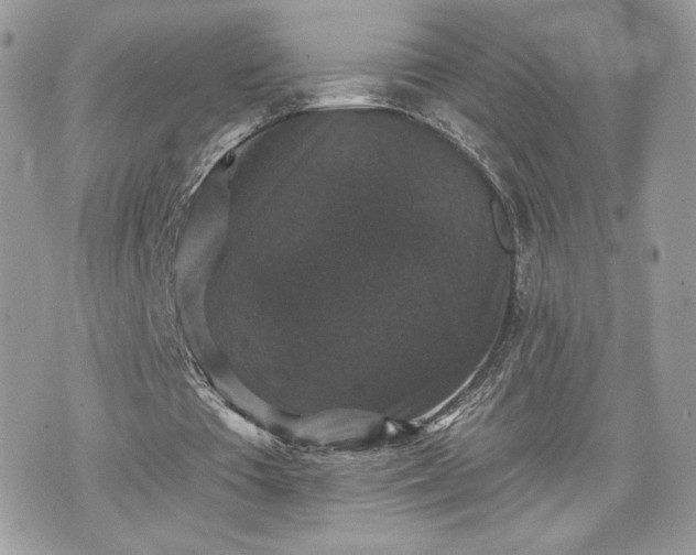 X0000070400385200606161351