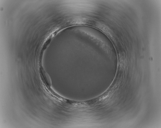 X0000070400386200606161351