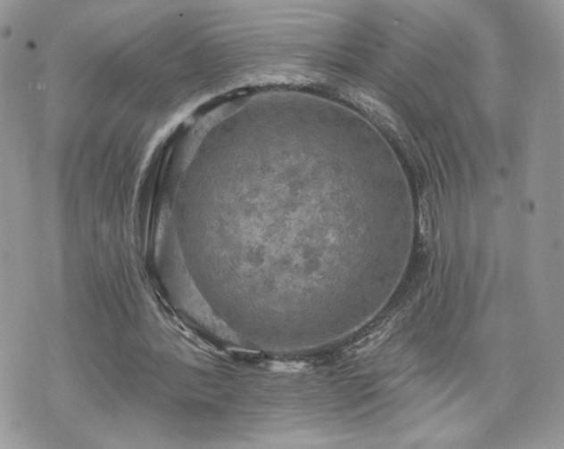 X0000070400388200606161351