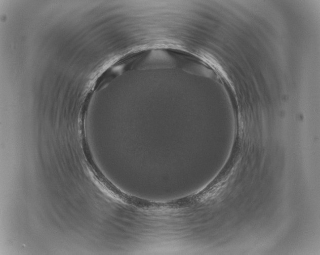 X0000070400389200606161351