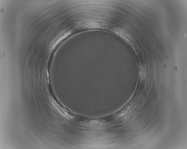 X0000070400390200606161351