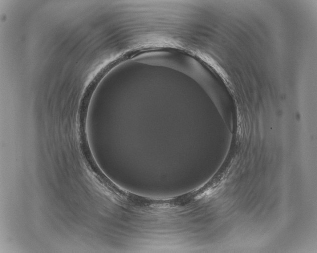 X0000070400391200606161351