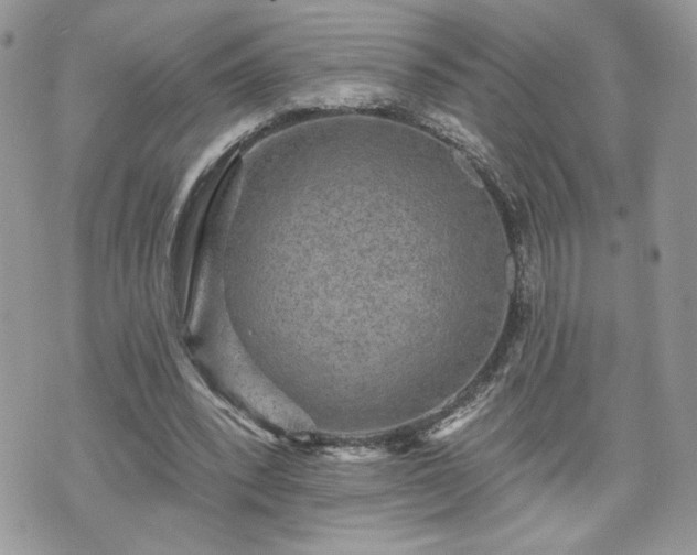 X0000070400392200606161351