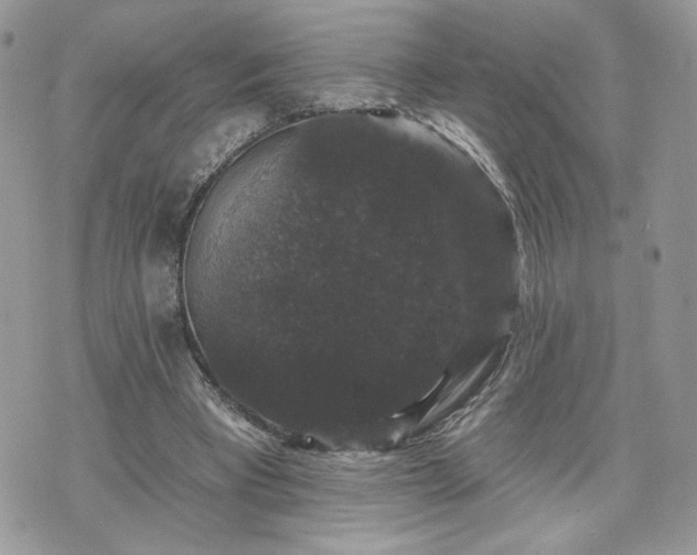 X0000070400393200606161351