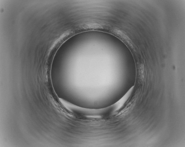 X0000070400395200606161351