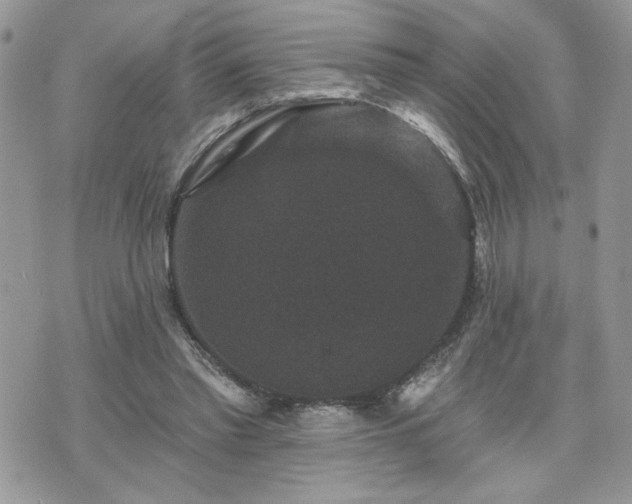 X0000070400397200606161351