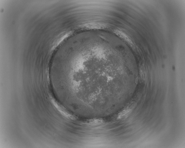 X0000070400398200606161351