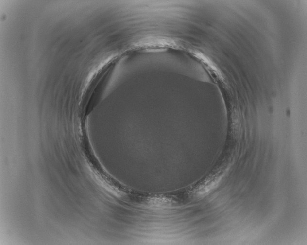 X0000070400399200606161351