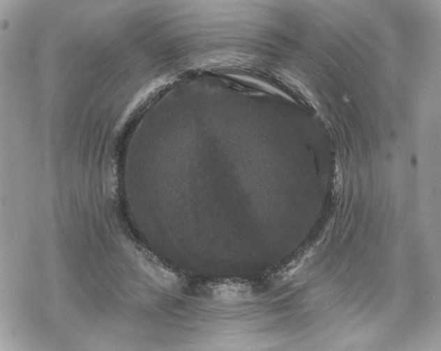 X0000070400400200606161351