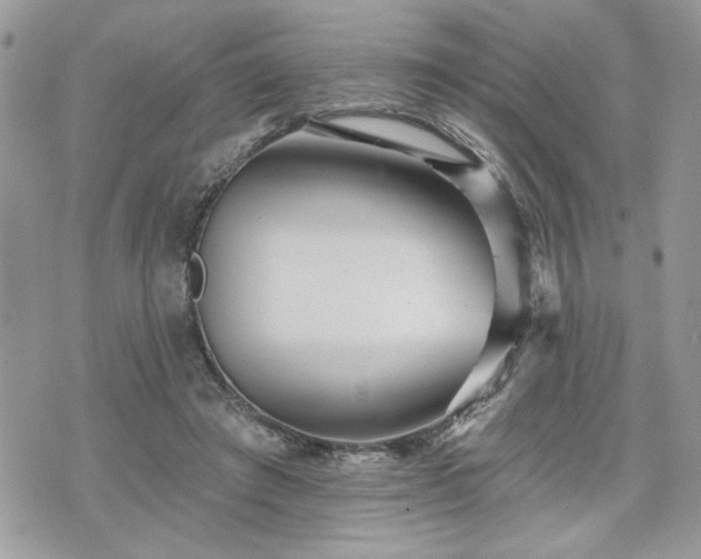 X0000070400401200606161351