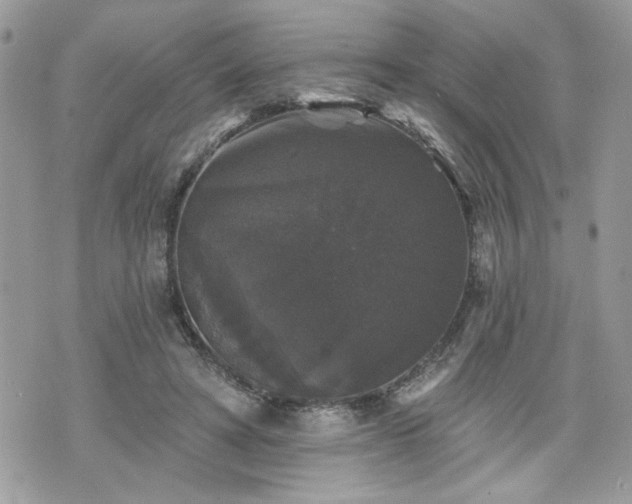 X0000070400402200606161351