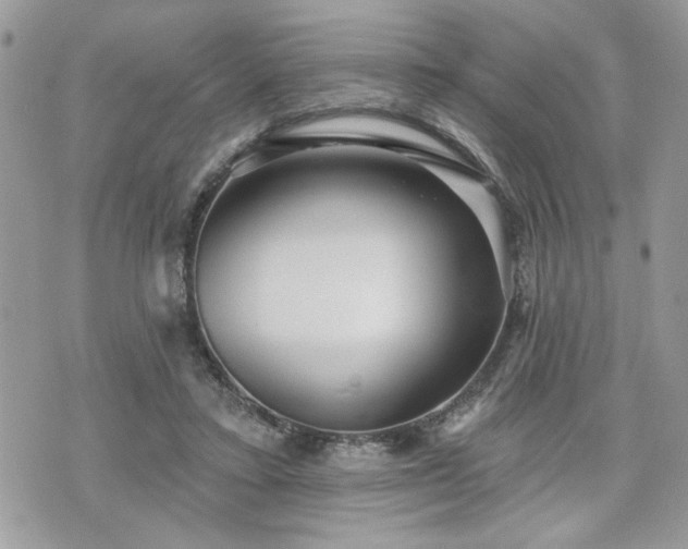 X0000070400403200606161351