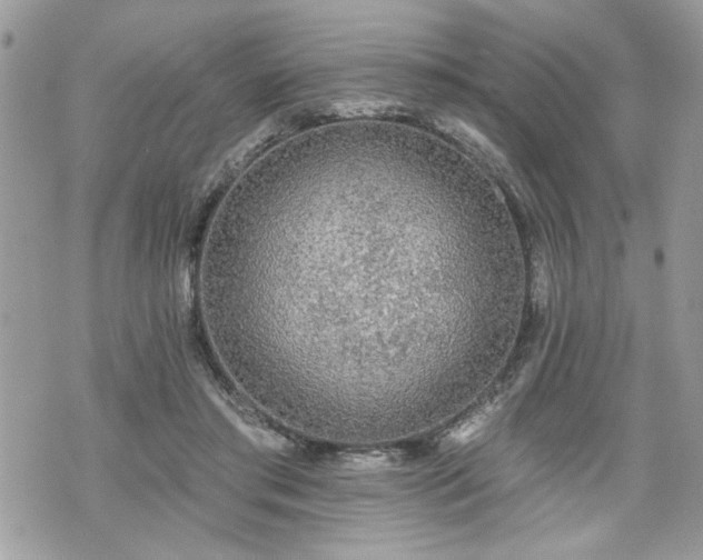 X0000070400405200606161351