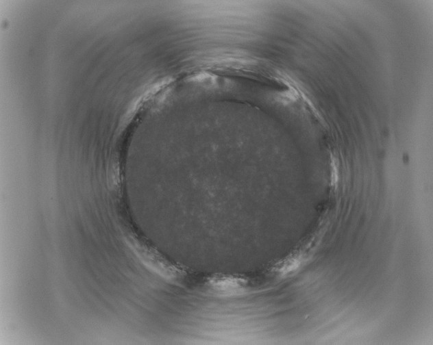 X0000070400407200606161350