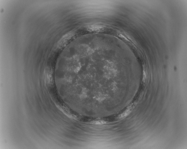 X0000070400408200606161350