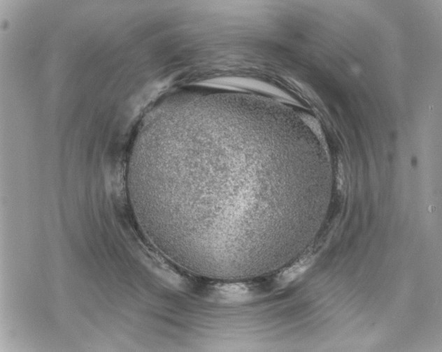 X0000070400409200606161350