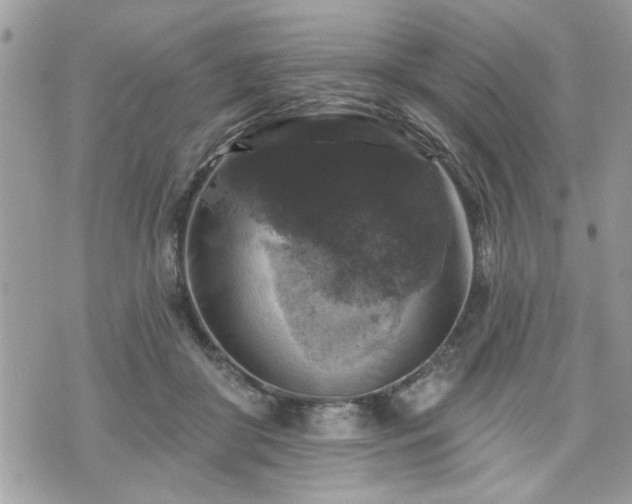 X0000070400410200606161350