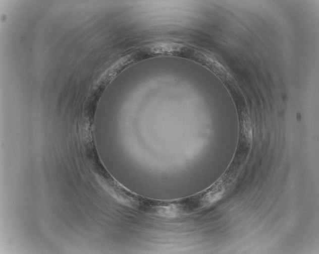 X0000070400411200606161350