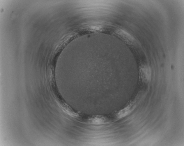 X0000070400412200606161350