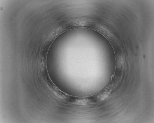 X0000070400414200606161350