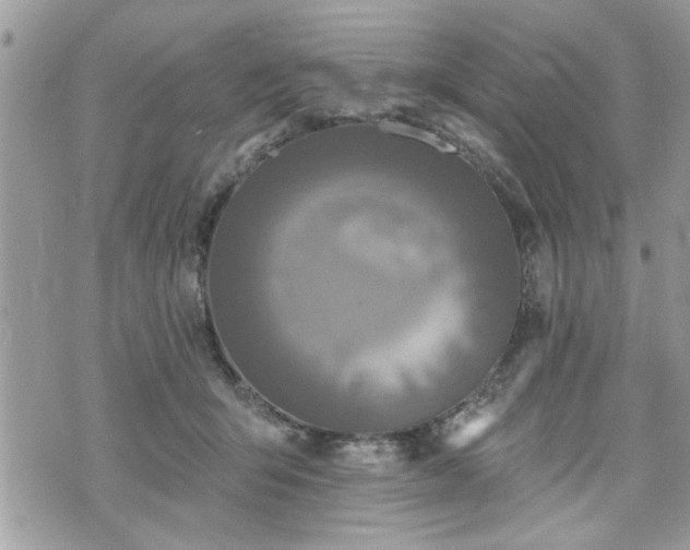 X0000070400415200606161350