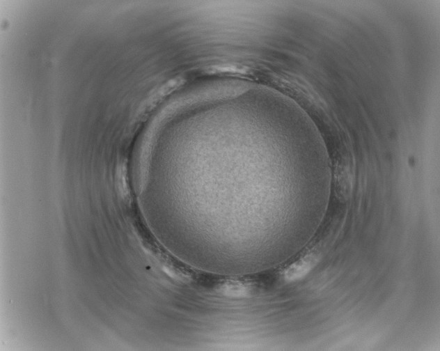 X0000070400416200606161350