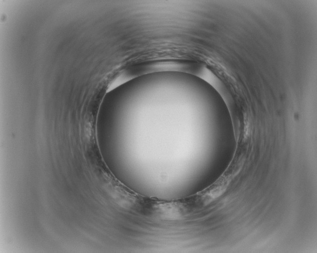 X0000070400417200606161350