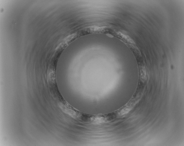 X0000070400419200606161350