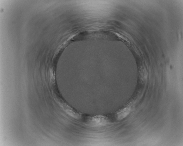 X0000070400420200606161350