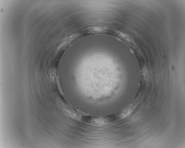 X0000070400423200606161350