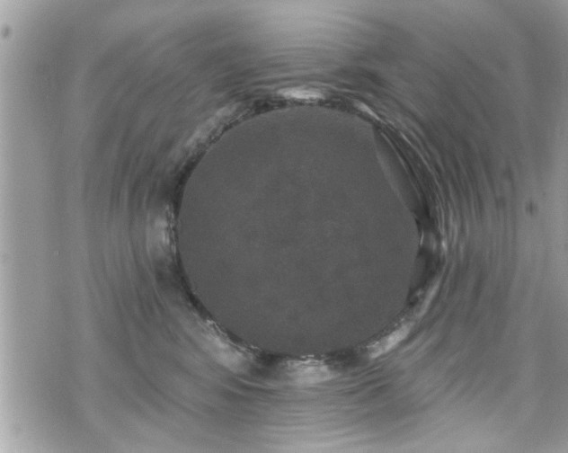 X0000070400424200606161350