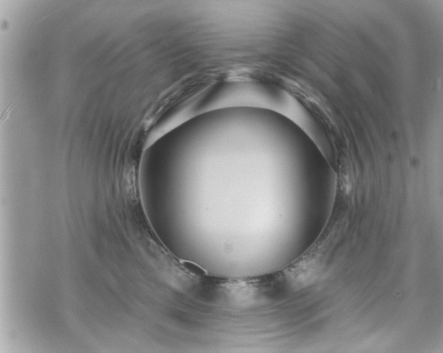 X0000070400425200606161350