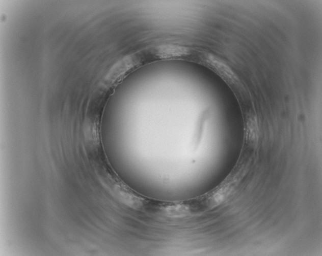 X0000070400426200606161350