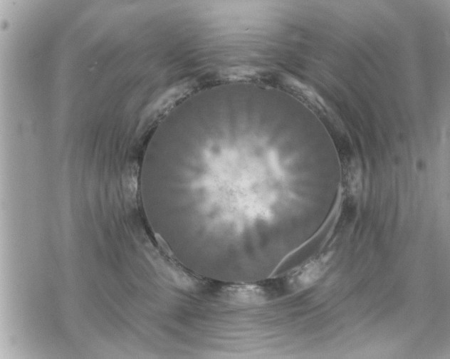 X0000070400427200606161350