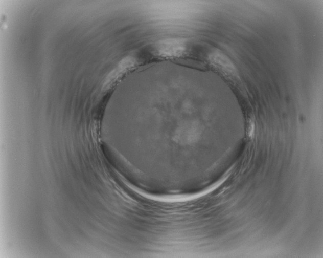 X0000070400428200606161350