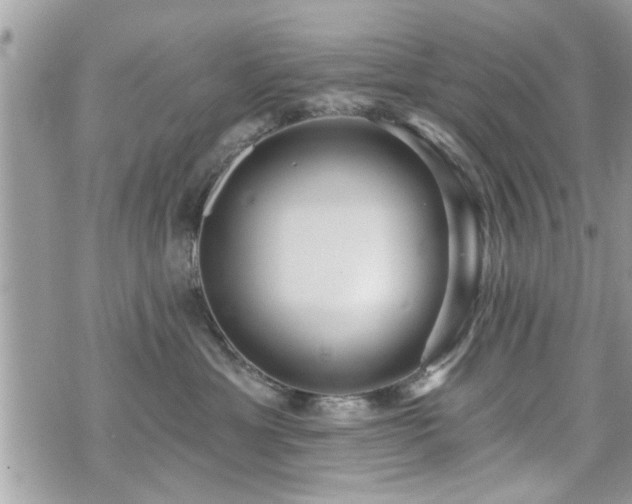 X0000070400429200606161350