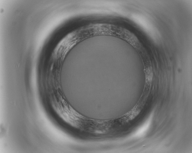 X0000070400431200606161350