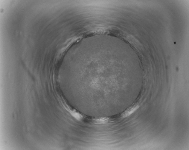 X0000070400432200606161350