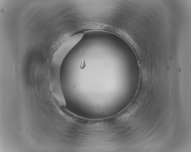 X0000070400433200606161349