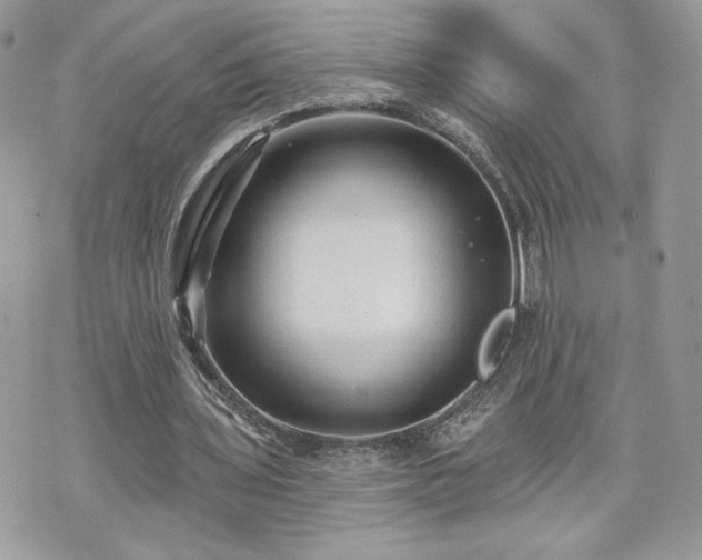 X0000070400435200606161349