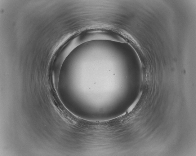 X0000070400436200606161349