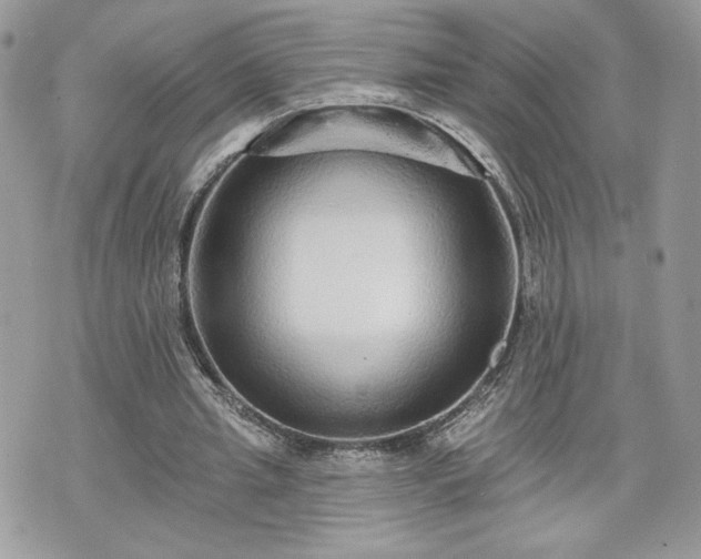 X0000070400437200606161349