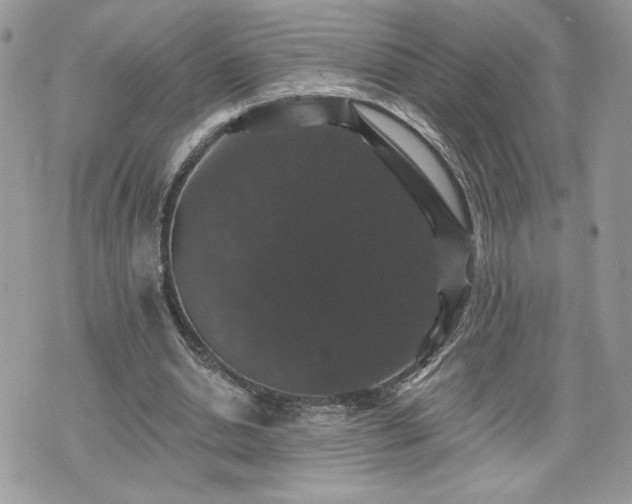 X0000070400438200606161349