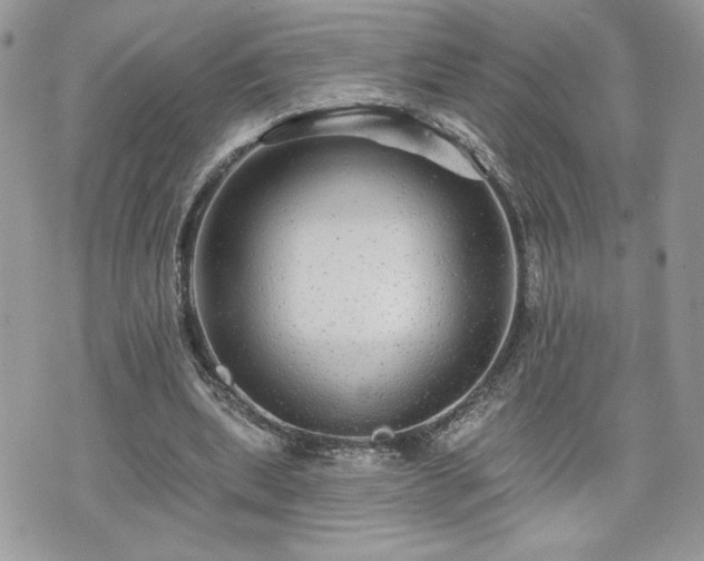 X0000070400439200606161349