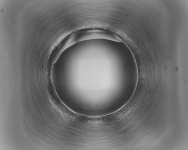 X0000070400440200606161349